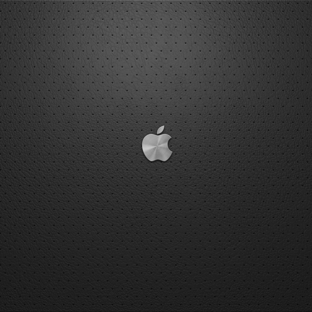 Apple Logo Ipad