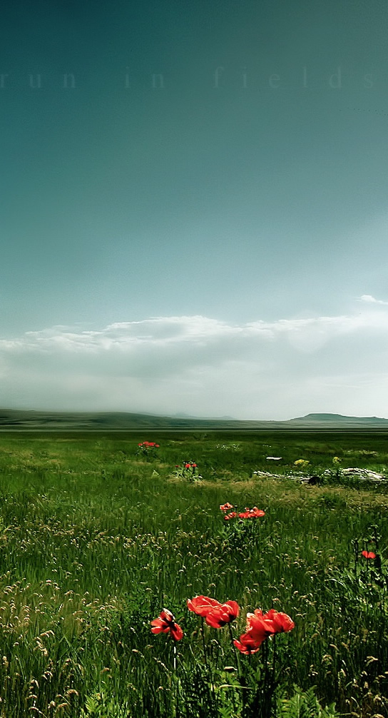 Nature Field iPhone 5 Wallpaper