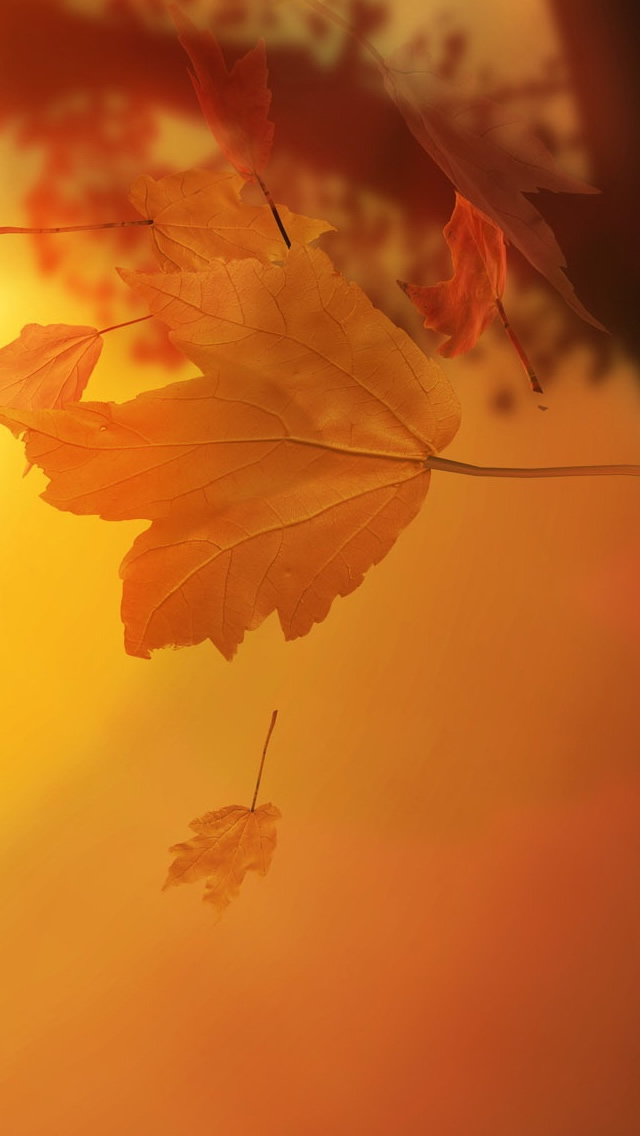 autumn-leaves-iPhone