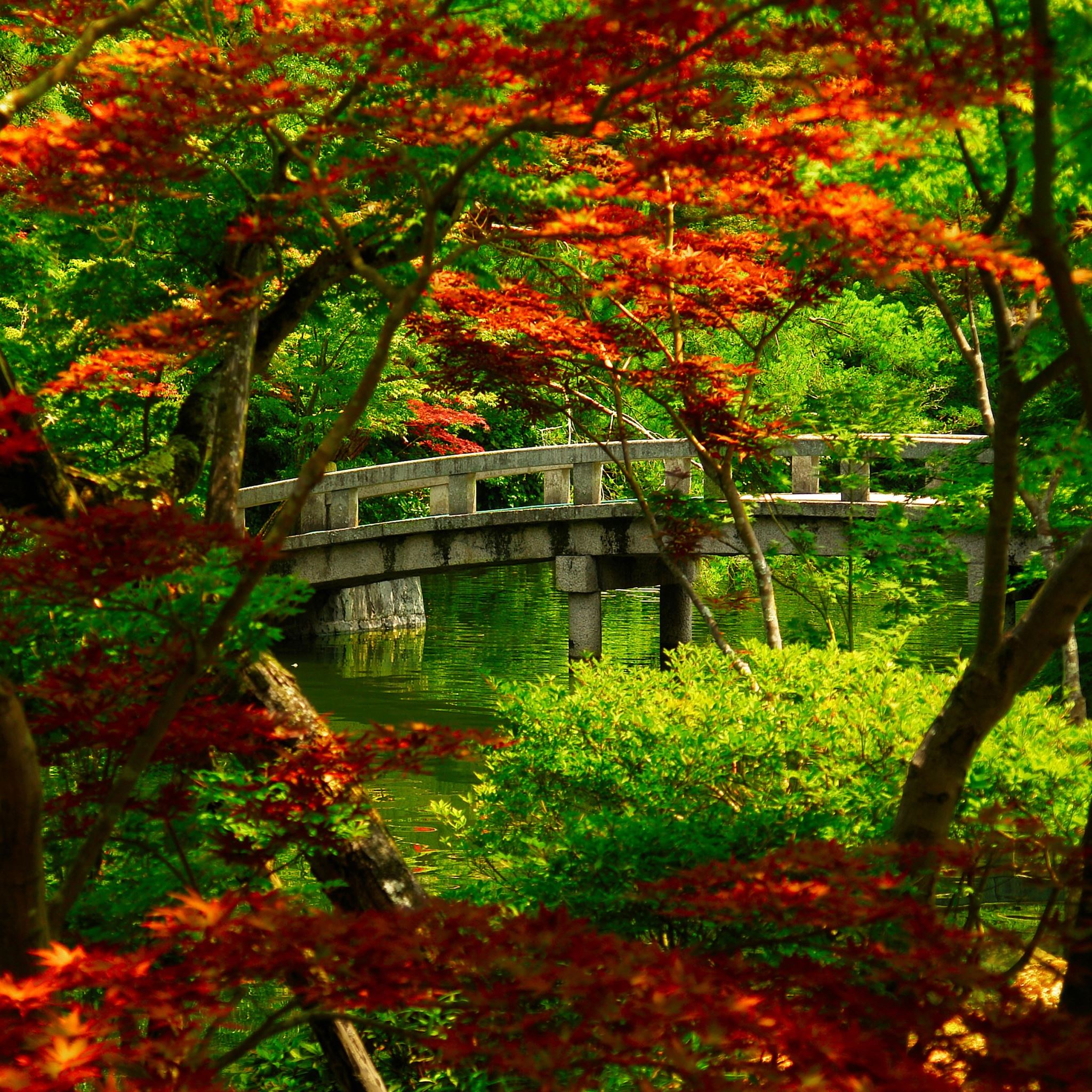 Japanese Garden Kyoto IPad Air Wallpaper Download IPhone
