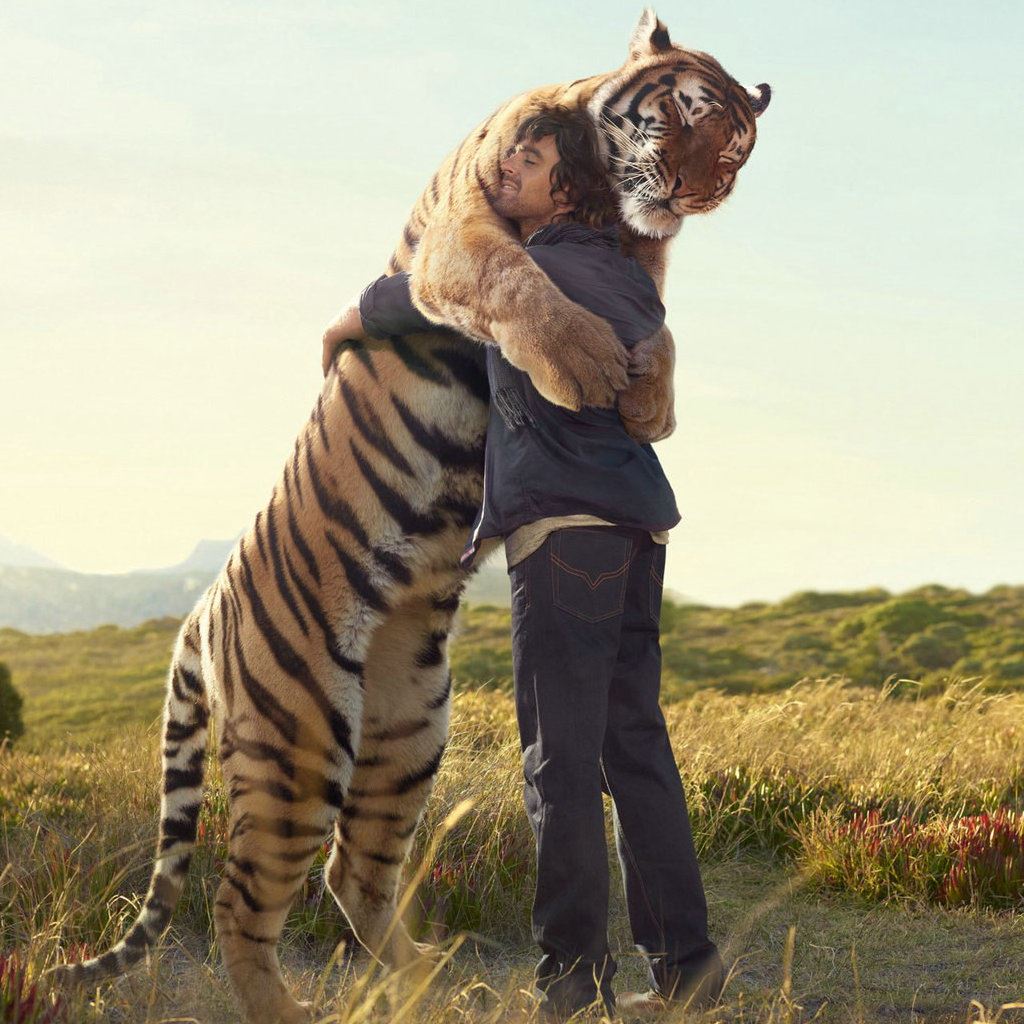 the-warm-hug-with-the-huge-tiger-ipad-wallpaper-ilikewallpaper_com.jpg