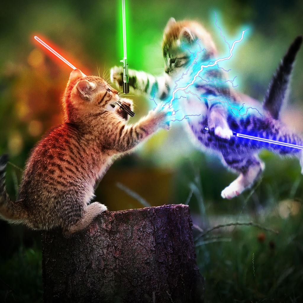 Playing-Cute-Kittens-ipad-wallpaper-ilikewallpaper_com.jpg
