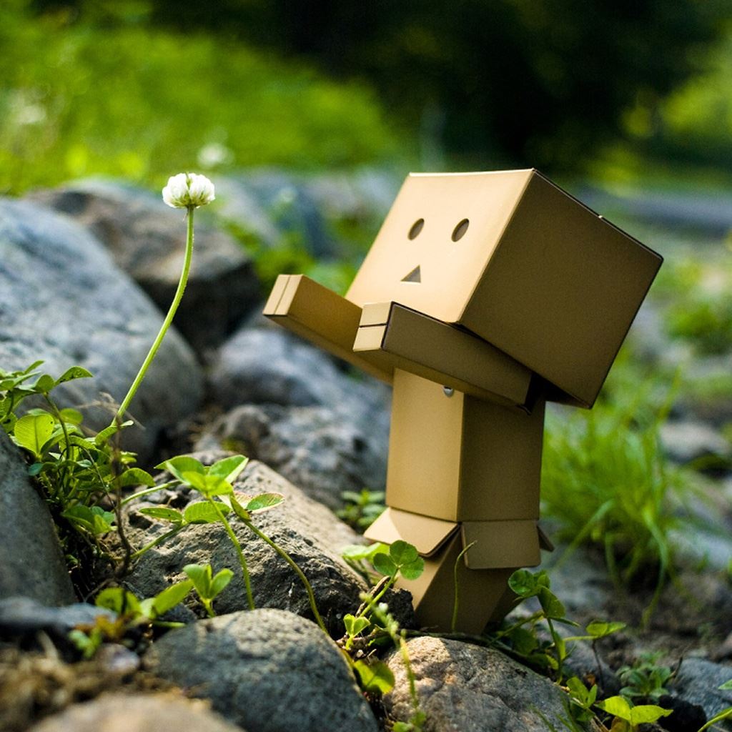 Danbo Wallpaper Iphone