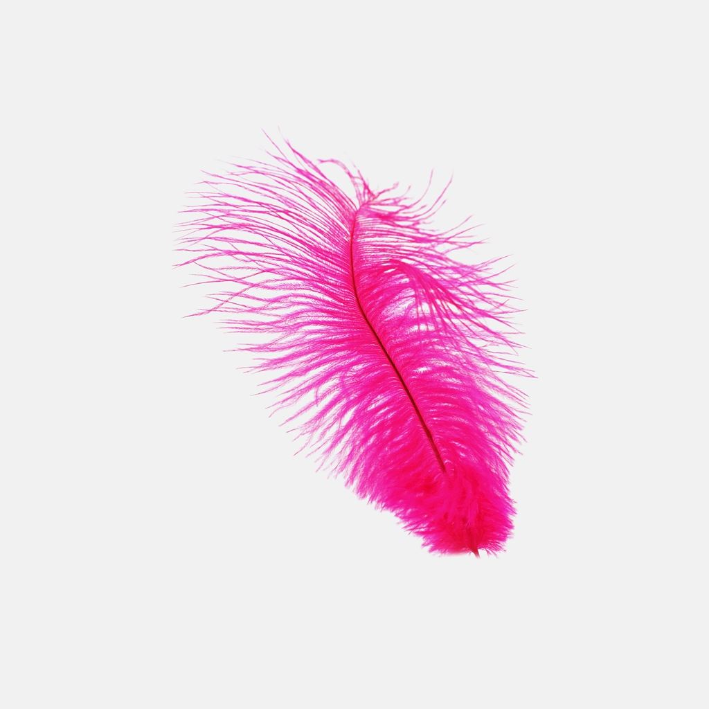 Feather Pink White Nature Minimal Ipad W Ipad タブレット専用 可愛いガーリーな 待ち受け壁紙 ホーム画面 画像集 Naver まとめ
