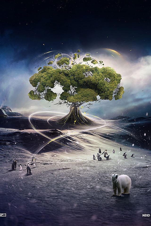 Tree-of-Life-iphone-4s-wallpaper-ilikewallpaper_com.jpg
