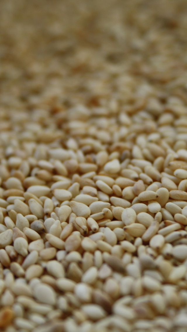 Sesame-iphone-5-wallpaper-ilikewallpaper_com.jpg
