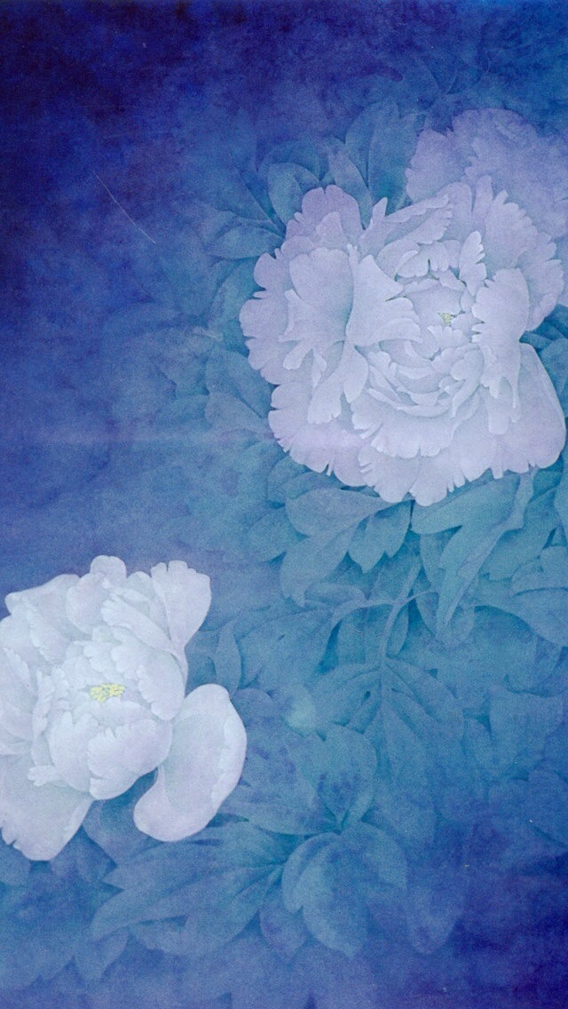 White-Peony-iphone-5-wallpaper-ilikewallpaper_com.jpg