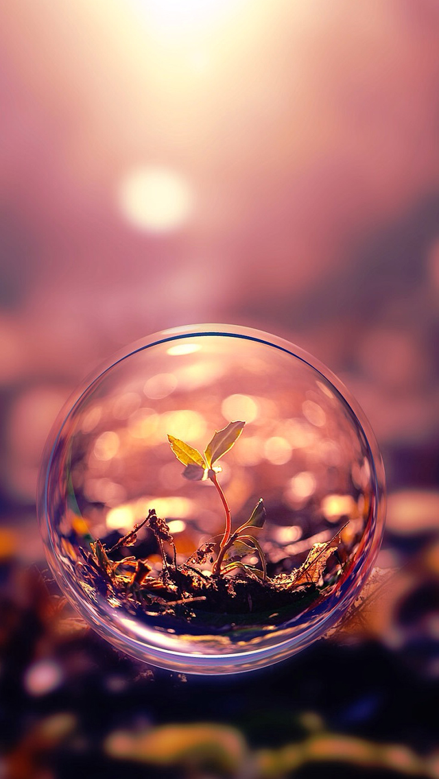 Macro-iphone-5-wallpaper-ilikewallpaper_com.jpg