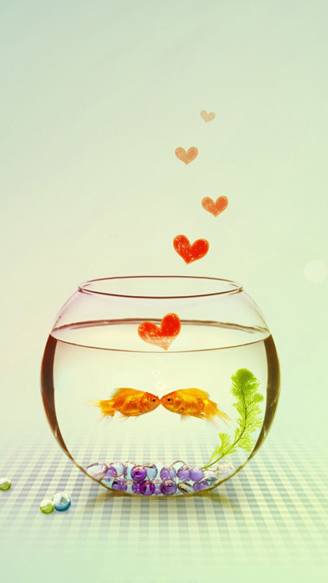 Kissing Lovely Goldfish Couple Iphone 5s 恋愛運がアップしそう ハート柄スマホ壁紙 待ち受け画面 女子向け Naver まとめ