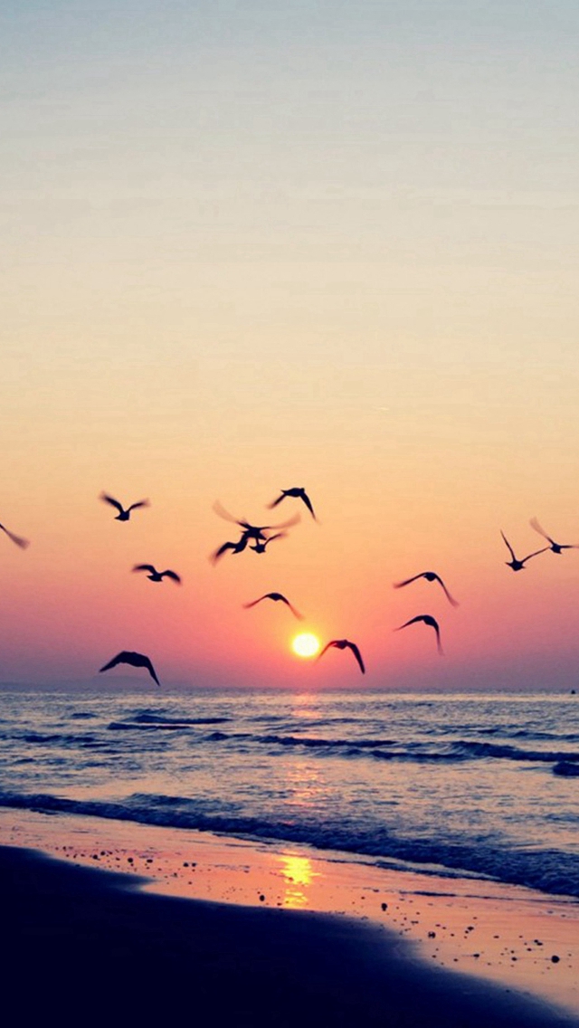Twilight Coast Beach Ocean Wave Seagull Sunset iPhone 5s ...