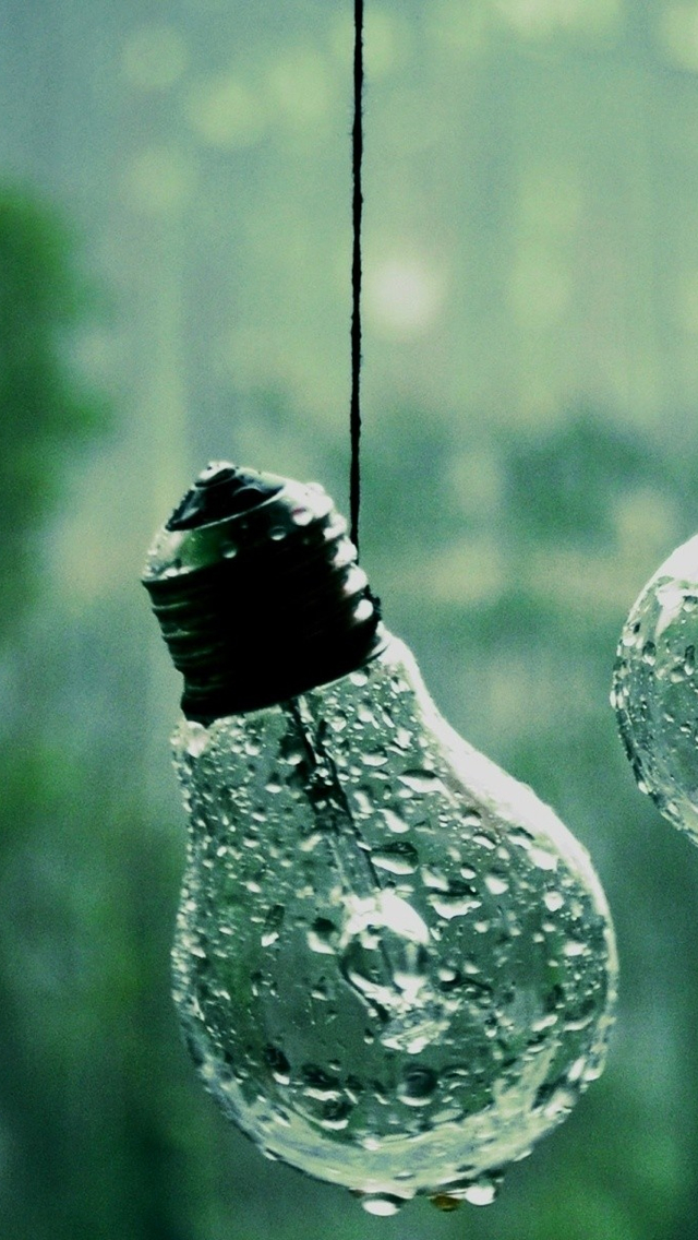 Drops-on-Bulbs-iphone-5-wallpaper-ilikewallpaper_com.jpg