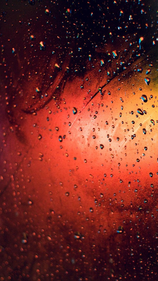 Orange-Rainy-Grass-iphone-5-wallpaper-ilikewallpaper_com.jpg