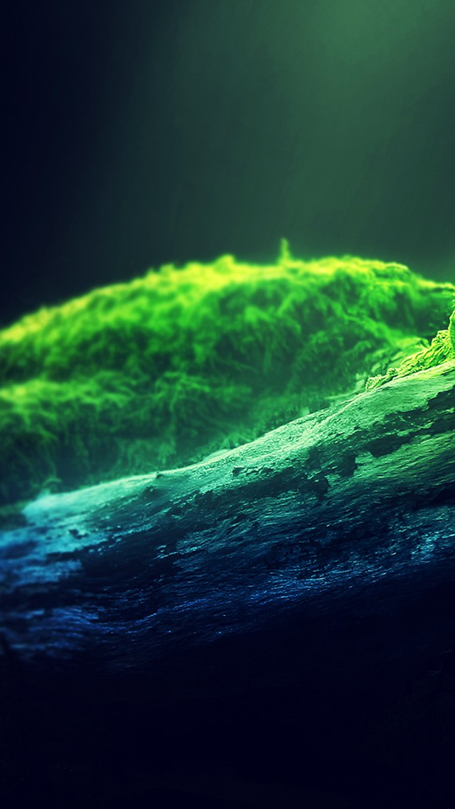 Sunrise-Moss-iphone-5-wallpaper-ilikewallpaper_com.jpg