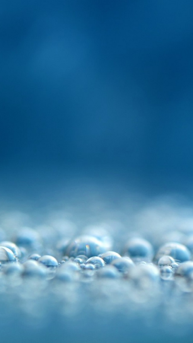Blister-iphone-5-wallpaper-ilikewallpaper_com.jpg