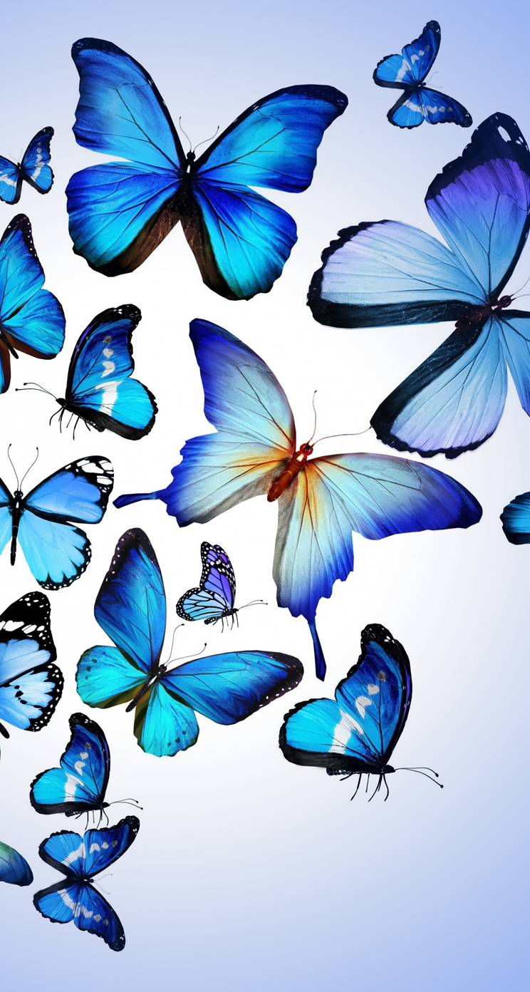 Blue Butterfly Drawing Art Beautiful iPhone 5s Wallpaper Download