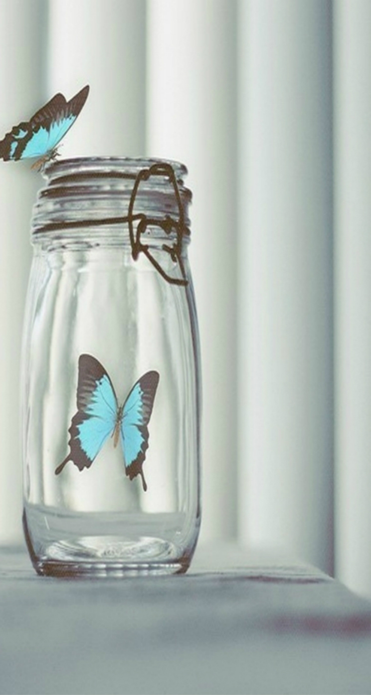 Blue Beautiful Butterfly In Glass Bottle iPhone 5s ...