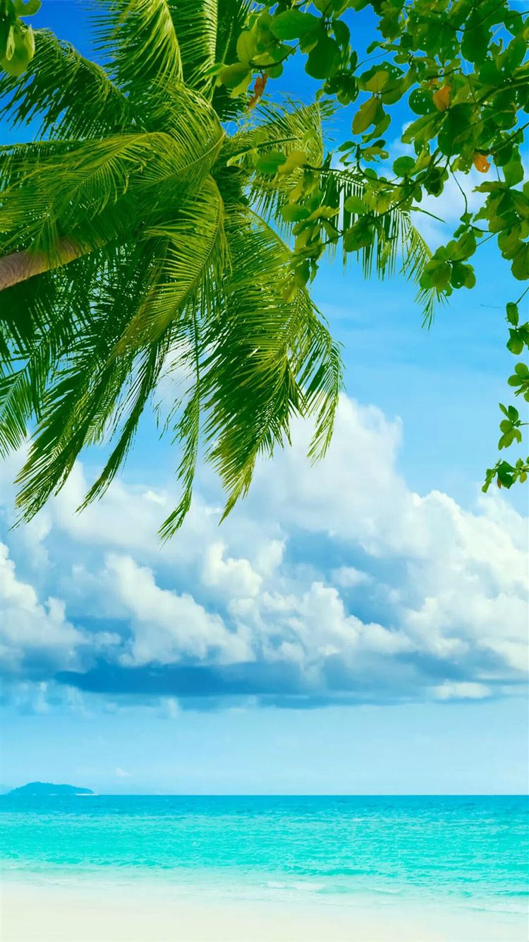 Tropical Beach Coconut Tree Iphone 6 Wallpaper Iphone壁紙 夏 海 青空 Naver まとめ