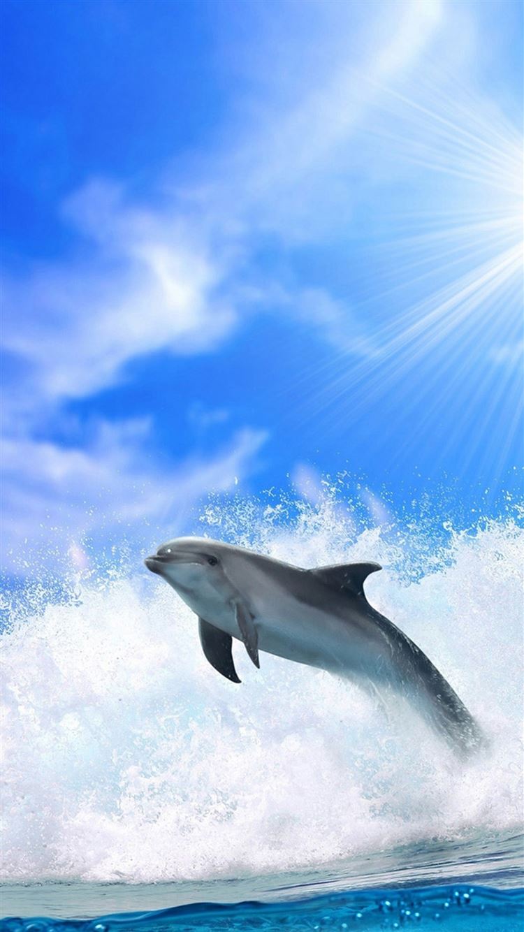 イルカ ドルフィン Dolphin Iphone スマホ壁紙 待ち受けホーム画面 画像集 Naver まとめ