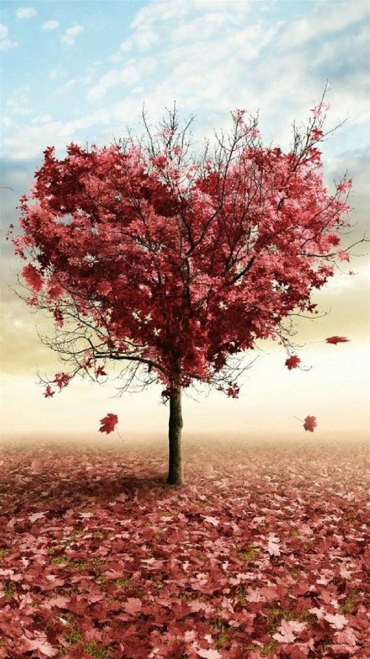 Nature Red Love Fall Tree iPhone 6 Wallpaper Download | iPhone