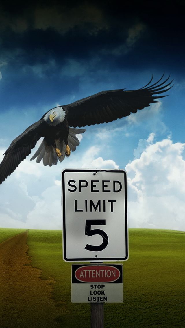 Eagle-Speed-Limit-iphone-wallpaper-ilikewallpaper_com.jpg