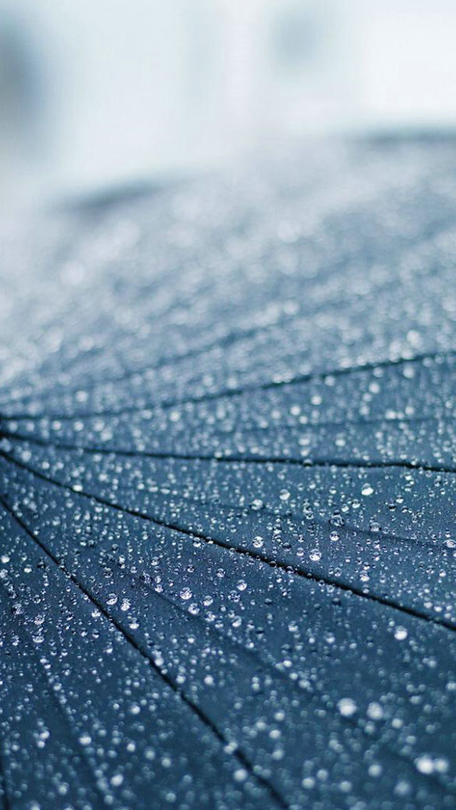 umbrella iphone 5s wallpaper