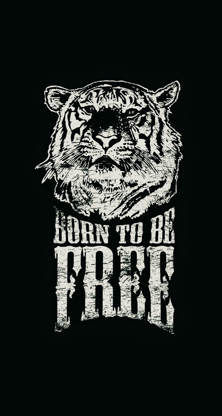 White Tiger Wallpaper For Iphone 5 Images